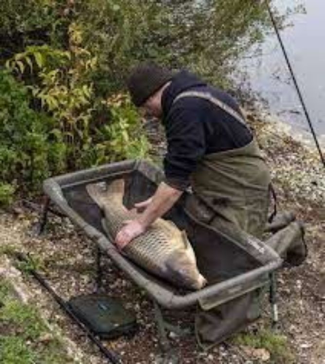 Снимка на Люлка Trakker SANCTUARY CRADLE 