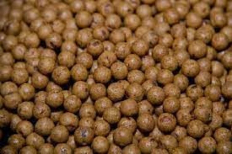 Снимка на Протеинови топчета DYNAMITE BAITS Monster Tiger Nut Boilies