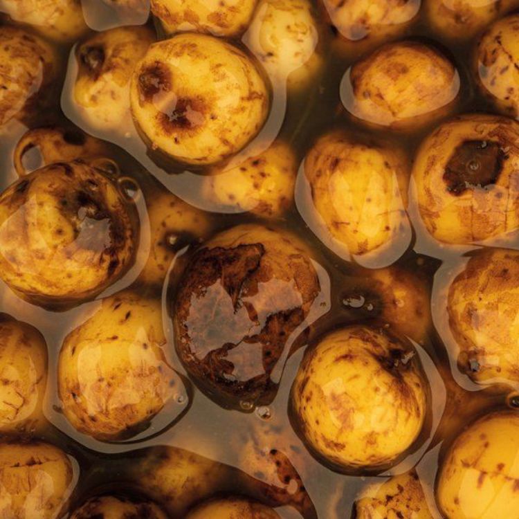 Снимка на Тигров фъстък Nash SWEET TIGER NUTS