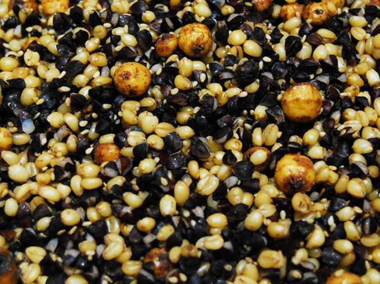 Снимка на Семена Carp Fever Superseed Mix
