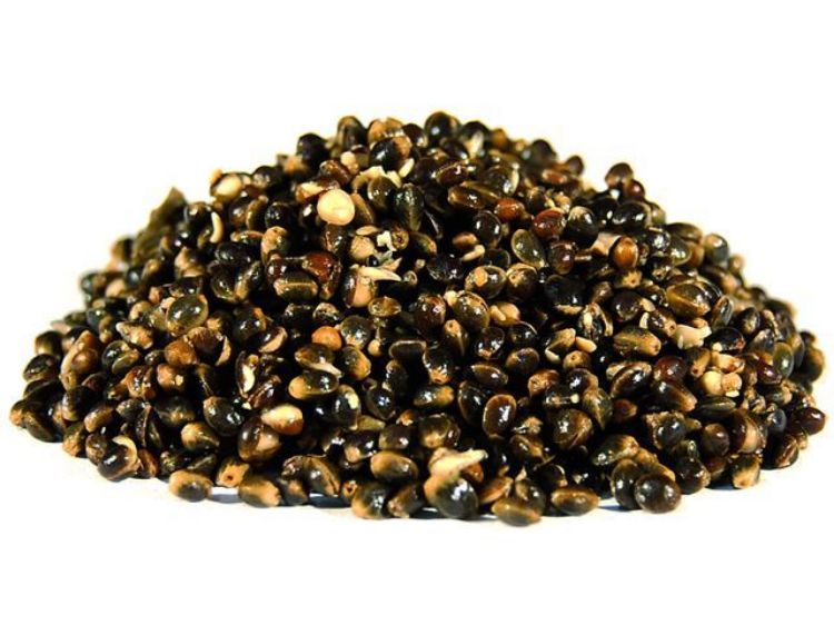 Снимка на Коноп Carp Fever Hempseed