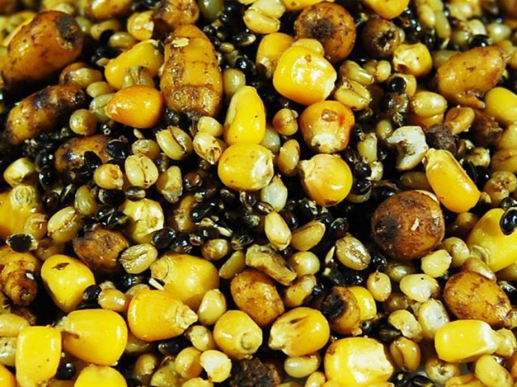 Снимка на СЕМЕНА CARP FEVER  PARTICLE MIX